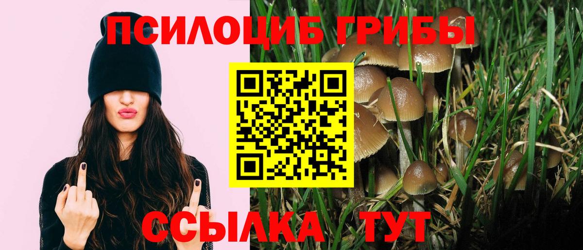 Цена  Альфа ПВП СОЛЬ кристаллы  ЭКСТАЗИ  МАРИХУАНА  Вход с VPN  Камышин  Меф кристаллы  COCAIN  ГАШИШ 