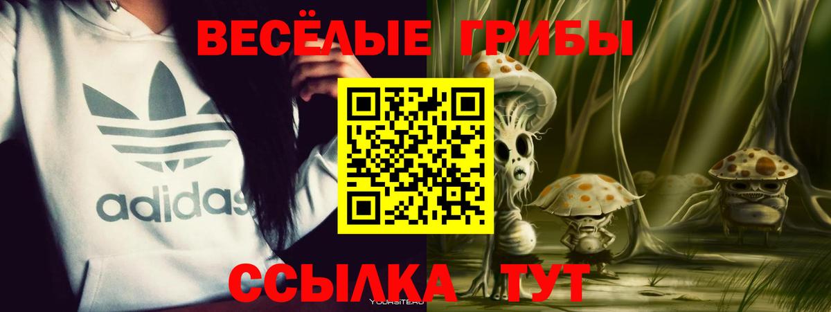 Камышин  Псилоцибиновые грибы Psilocybe  Вход с VPN 
