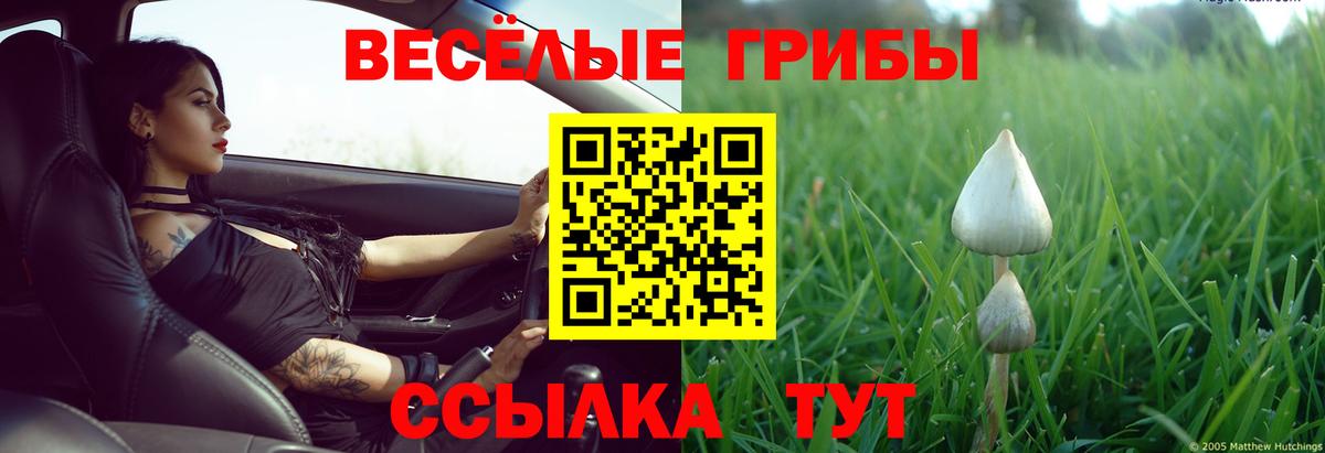 Псилоцибиновые грибы GOLDEN TEACHER Камышин